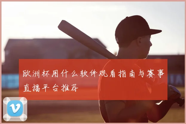 欧洲杯用什么软件观看指南与赛事直播平台推荐