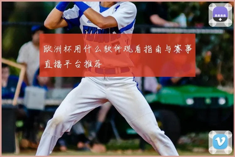欧洲杯用什么软件观看指南与赛事直播平台推荐
