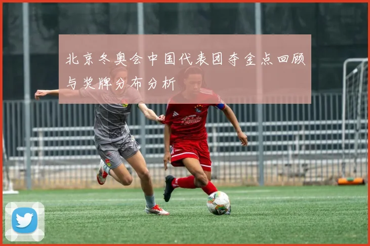 北京冬奥会中国代表团夺金点回顾与奖牌分布分析