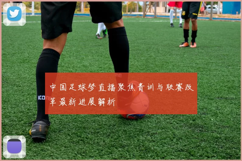 中国足球梦直播聚焦青训与联赛改革最新进展解析